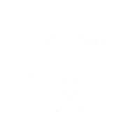 Fuerza Base Integral