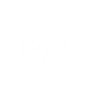 El Bicho Negro Hostel